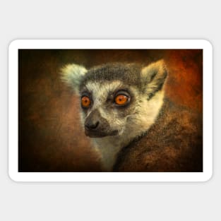 Lemur Sticker